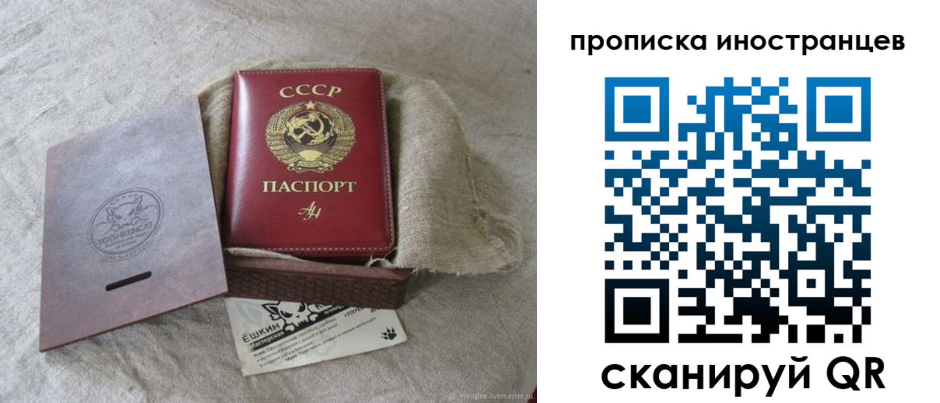прописка поиск в Павлово